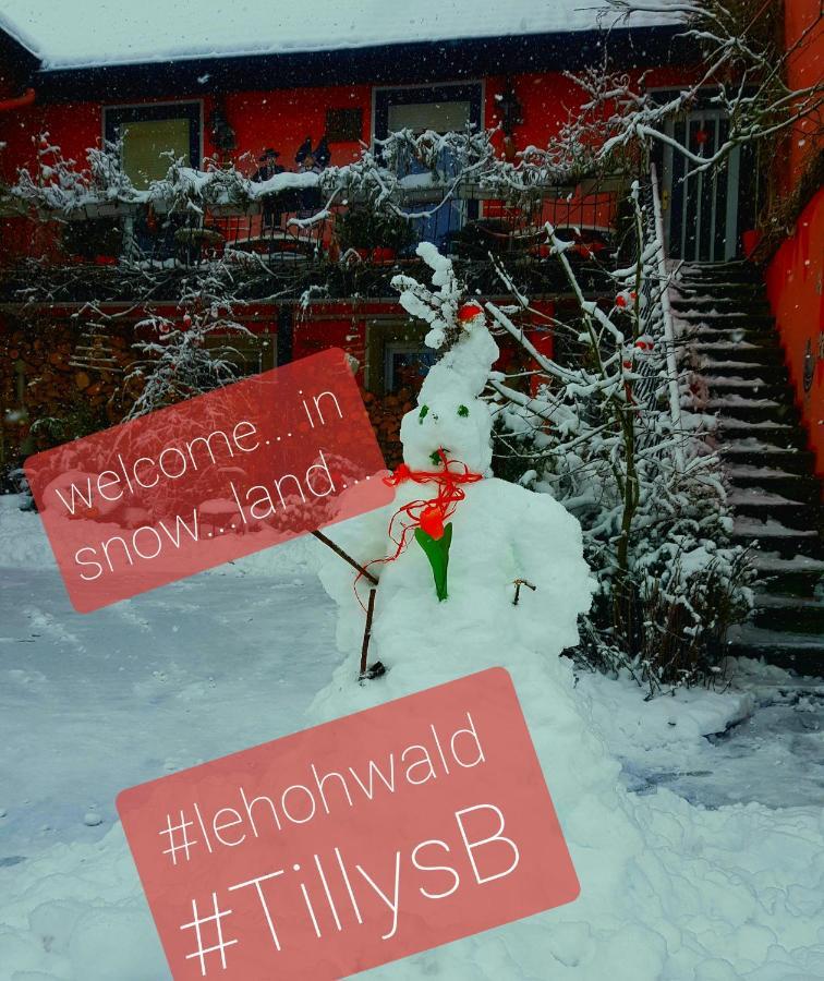Tilly'S B&B And Apartment House Le Hohwald Exterior photo